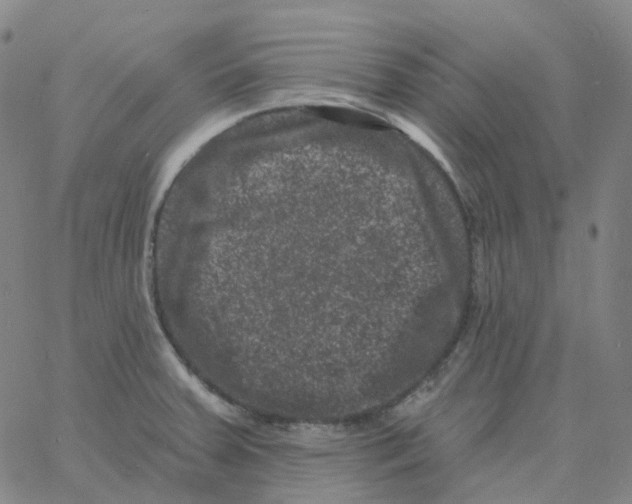 X0000060791379200512082113