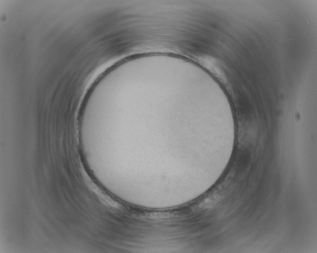 X0000060791380200512082113