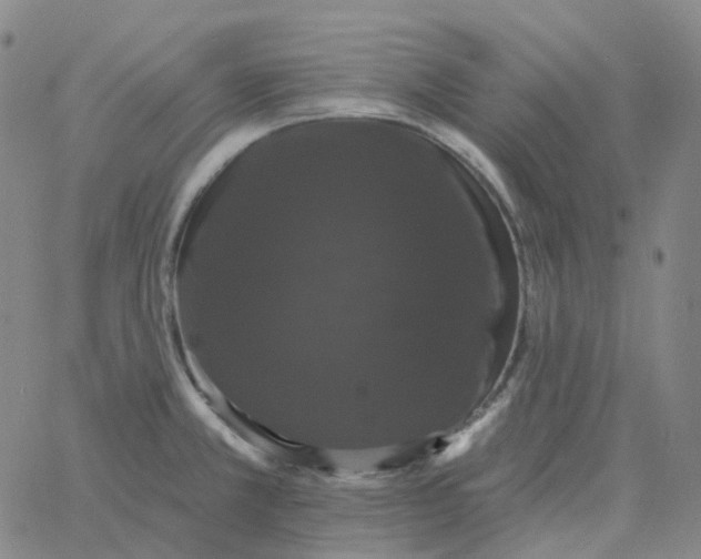 X0000060791381200512082113