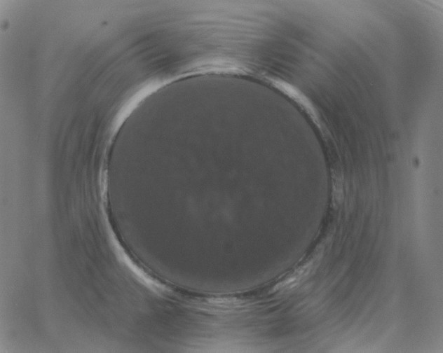 X0000060791383200512082113