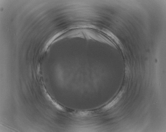 X0000060791385200512082113