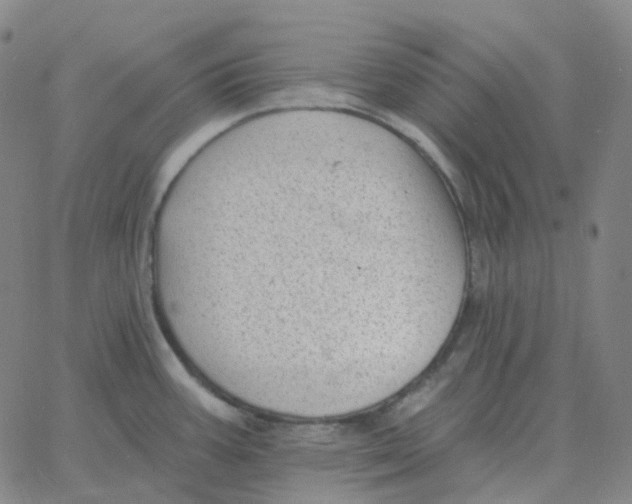 X0000060791387200512082113