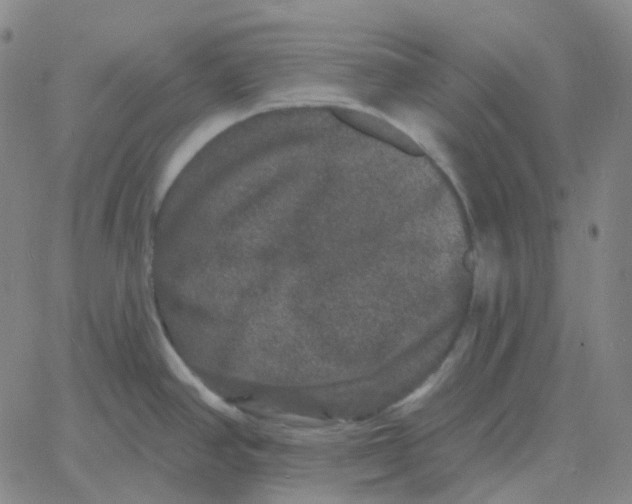 X0000060791390200512082113