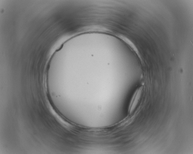 X0000060791391200512082113