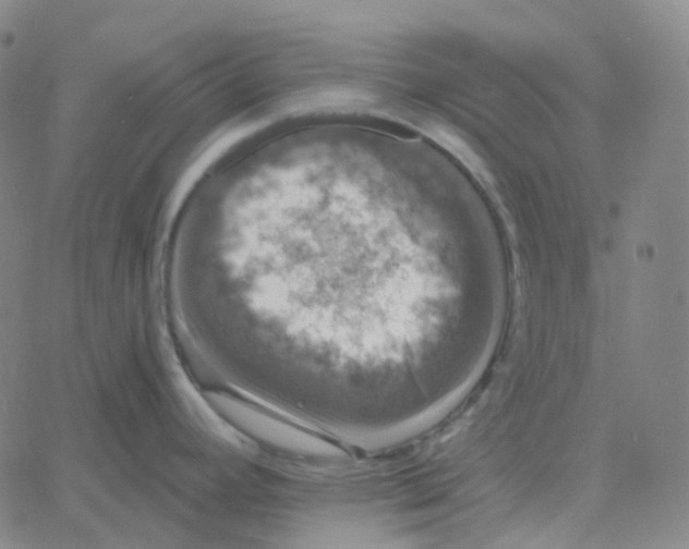 X0000060791392200512082113