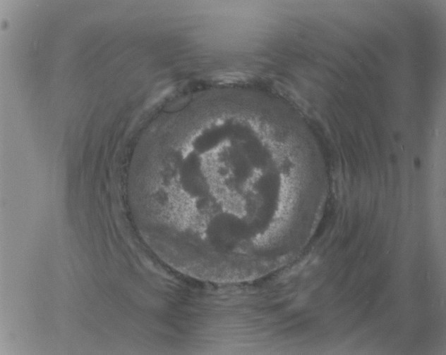 X0000060791393200512082112