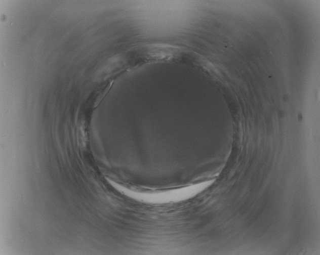 X0000060791394200512082112