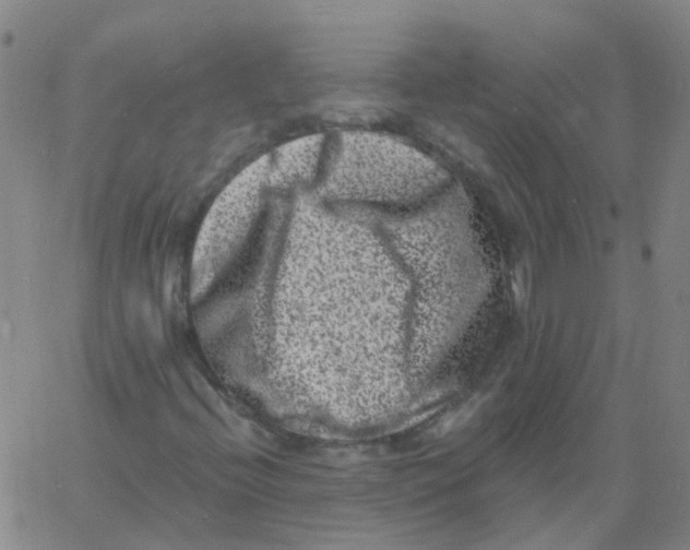 X0000060791396200512082112