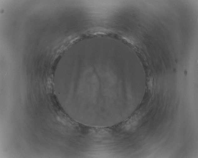 X0000060791397200512082112