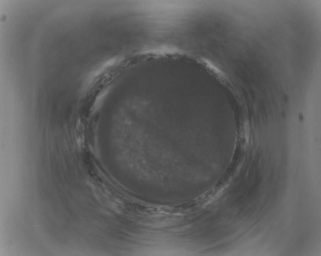 X0000060791398200512082112