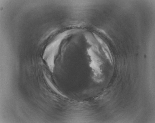 X0000060791399200512082112