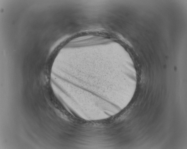 X0000060791400200512082112