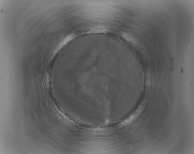 X0000060791401200512082112