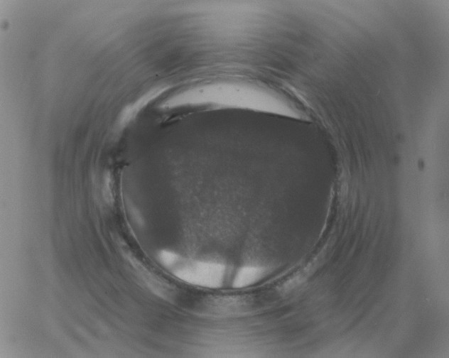 X0000060791402200512082112