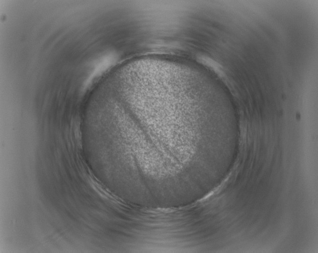 X0000060791403200512082112