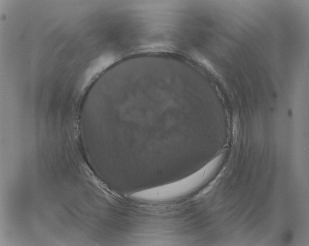 X0000060791405200512082112