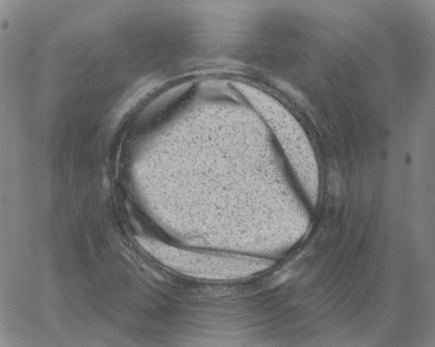 X0000060791407200512082112