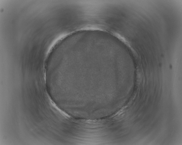 X0000060791408200512082112