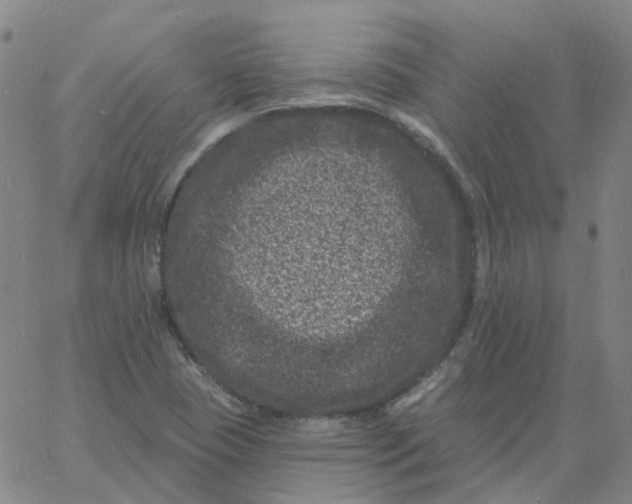 X0000060791409200512082112