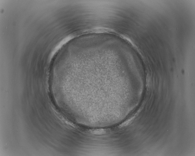 X0000060791410200512082112