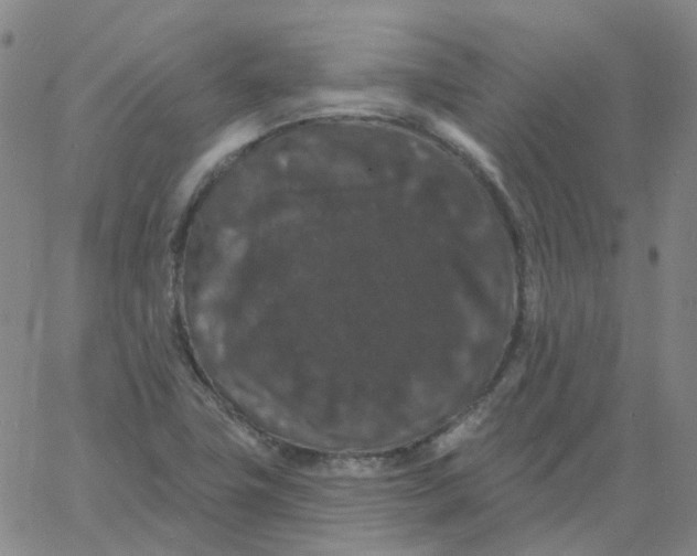 X0000060791411200512082112