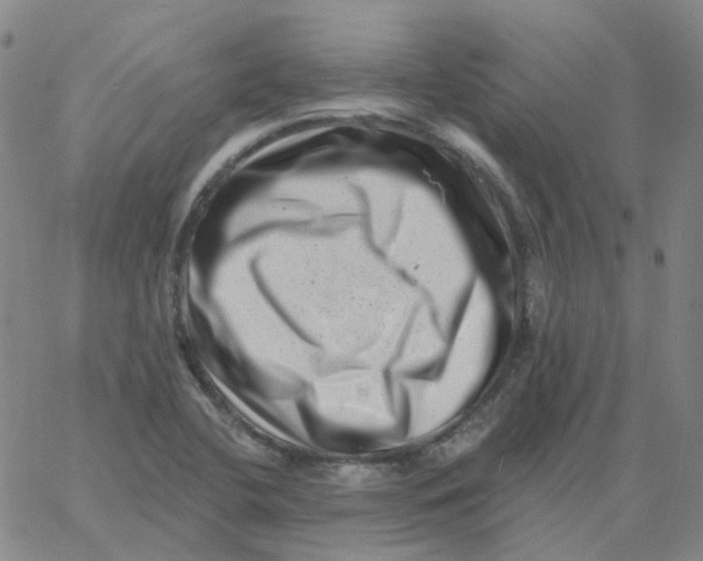 X0000060791412200512082112