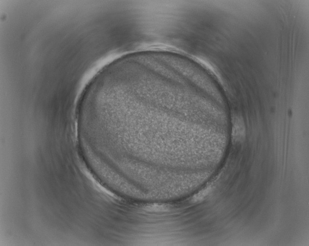 X0000060791414200512082112