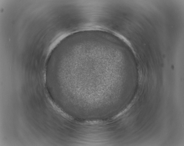 X0000060791415200512082112