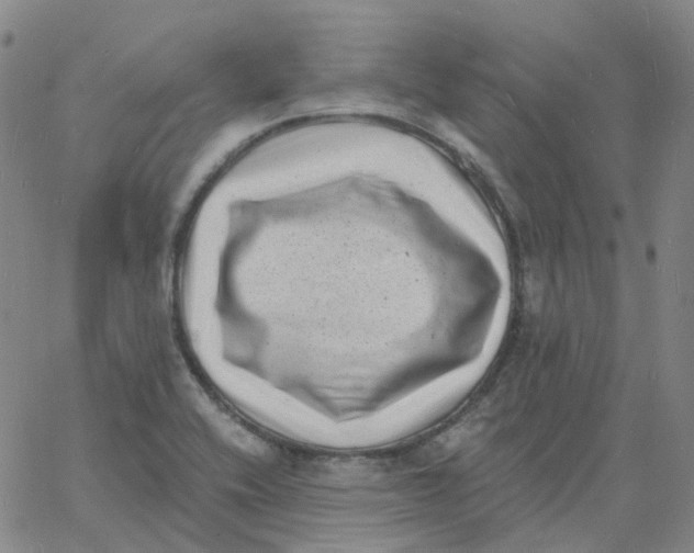 X0000060791416200512082112