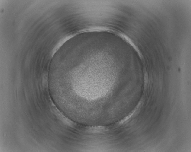 X0000060791417200512082112