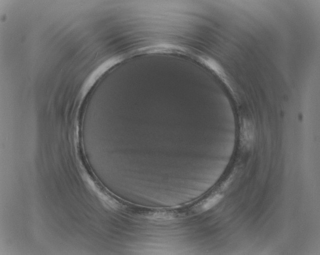 X0000060791418200512082112