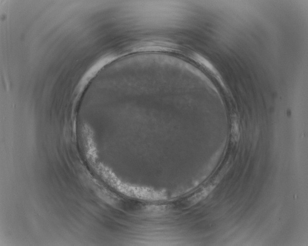 X0000060791419200512082113