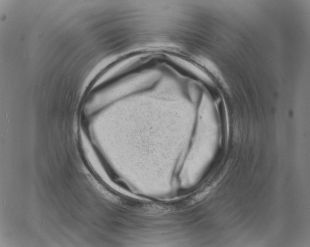 X0000060791420200512082113