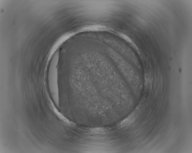 X0000060791421200512082113