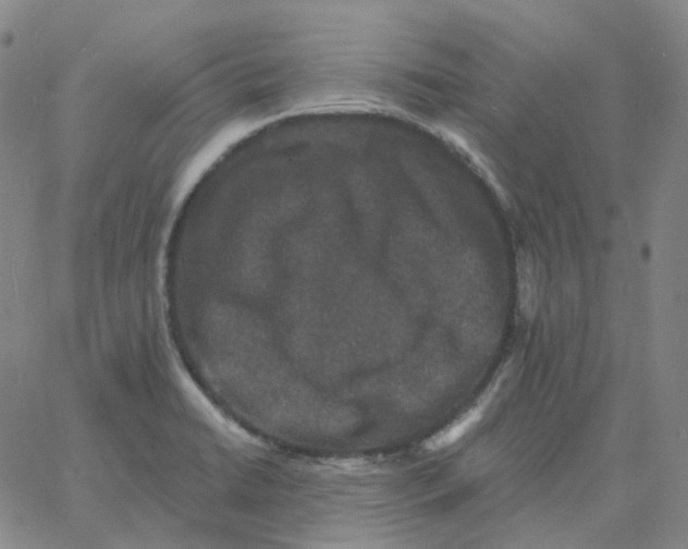 X0000060791422200512082113