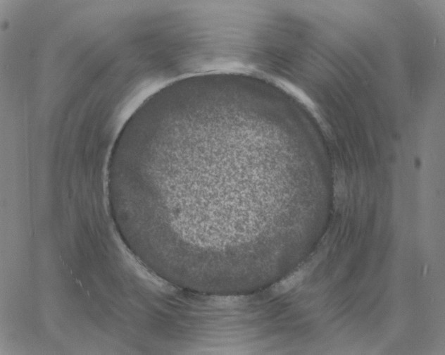 X0000060791423200512082113