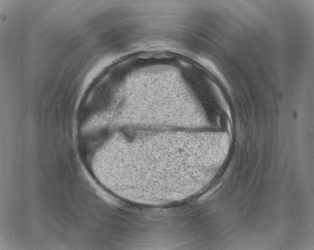 X0000060791424200512082113