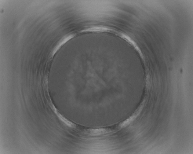 X0000060791425200512082113