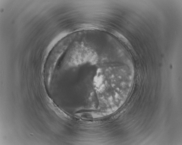 X0000060791427200512082113