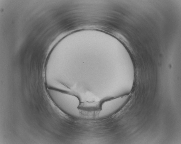 X0000060791428200512082113