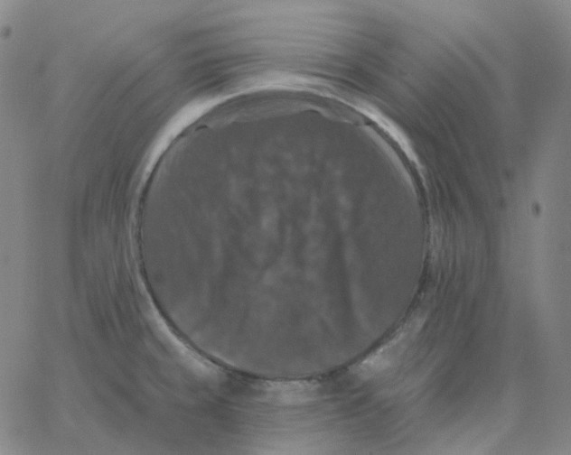 X0000060791429200512082113