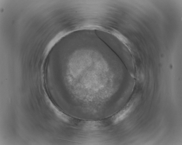 X0000060791430200512082113