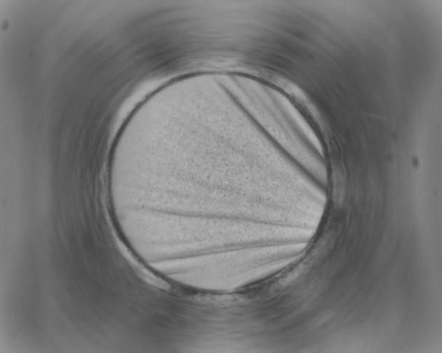 X0000060791432200512082113