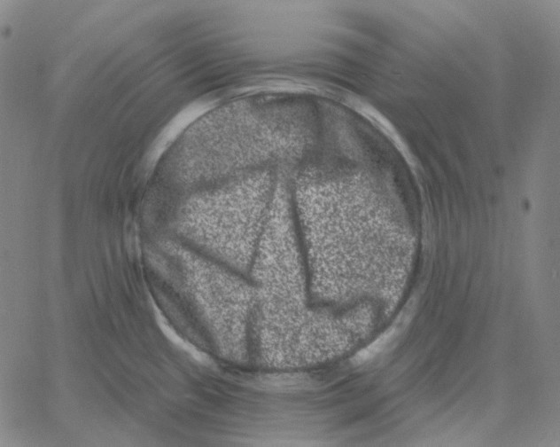 X0000060791433200512082113