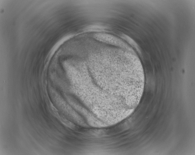 X0000060791435200512082113