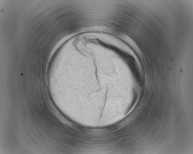 X0000060791436200512082113