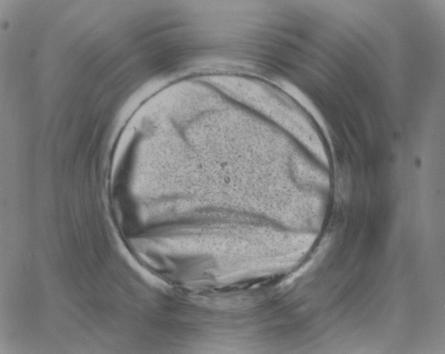 X0000060791437200512082113