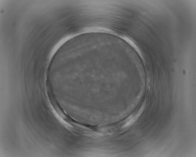 X0000060791438200512082113