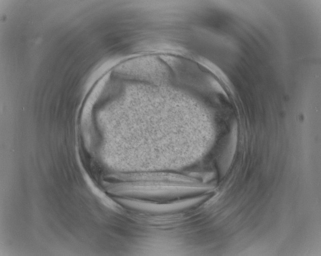 X0000060791439200512082113