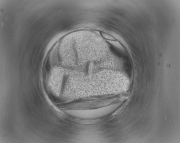 X0000060791440200512082113